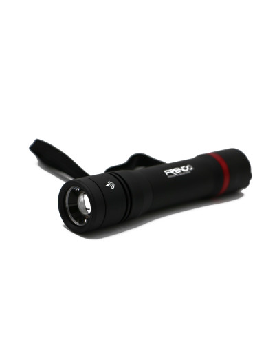 TORCHE RECHARGEABLE - TR 1000